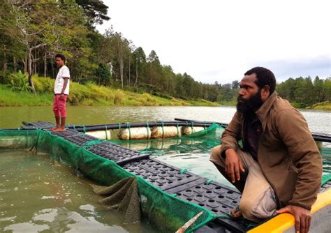 fish png|Aquaculture in Papua New Guinea .